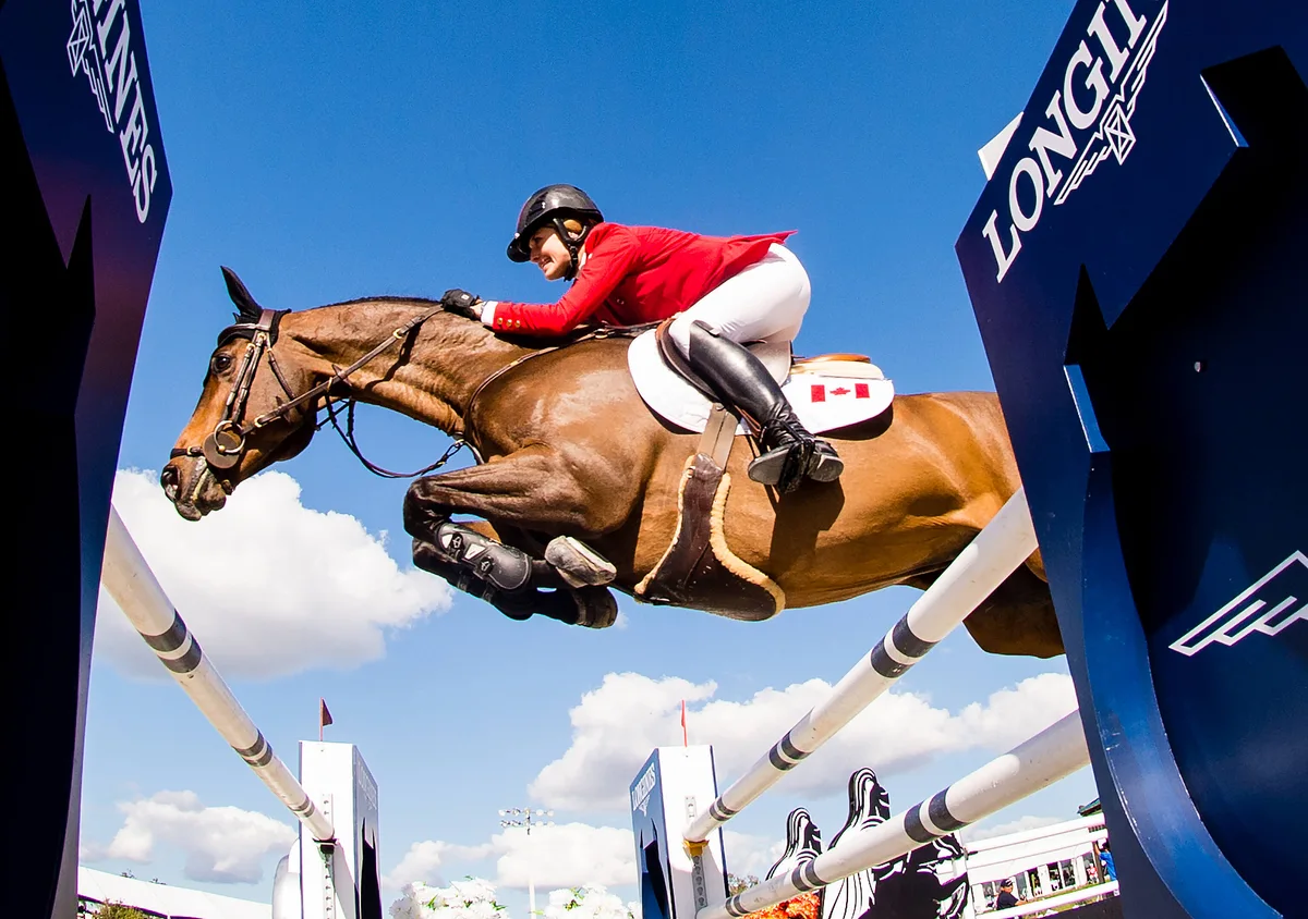 International showjumping at the Dublin Horse Show, RDS Ballsbridge — the highlight of Dublin's August calendar and one of Europe's premier equestrian events