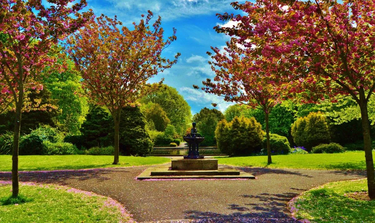 Herbert Park in Ballsbridge, Dublin 4 in spring — cherry blossom and the ornamental fountain in the green heart of Dublin’s embassy district
