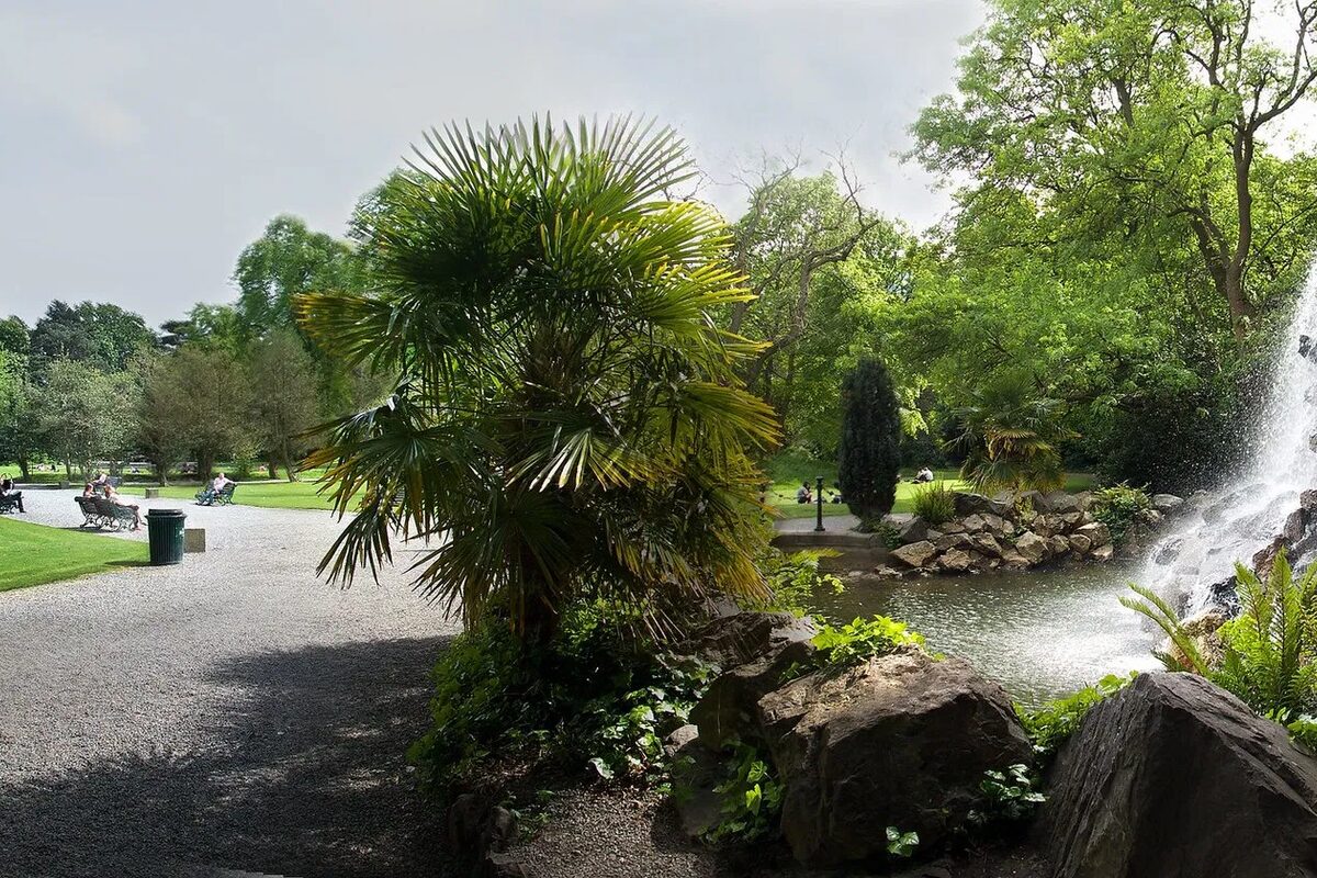 Iveagh Gardens waterfall and tropical planting, Dublin 2 — Dublin's hidden city-centre park a short walk from EirStay Camden Street and Aungier serviced apartments