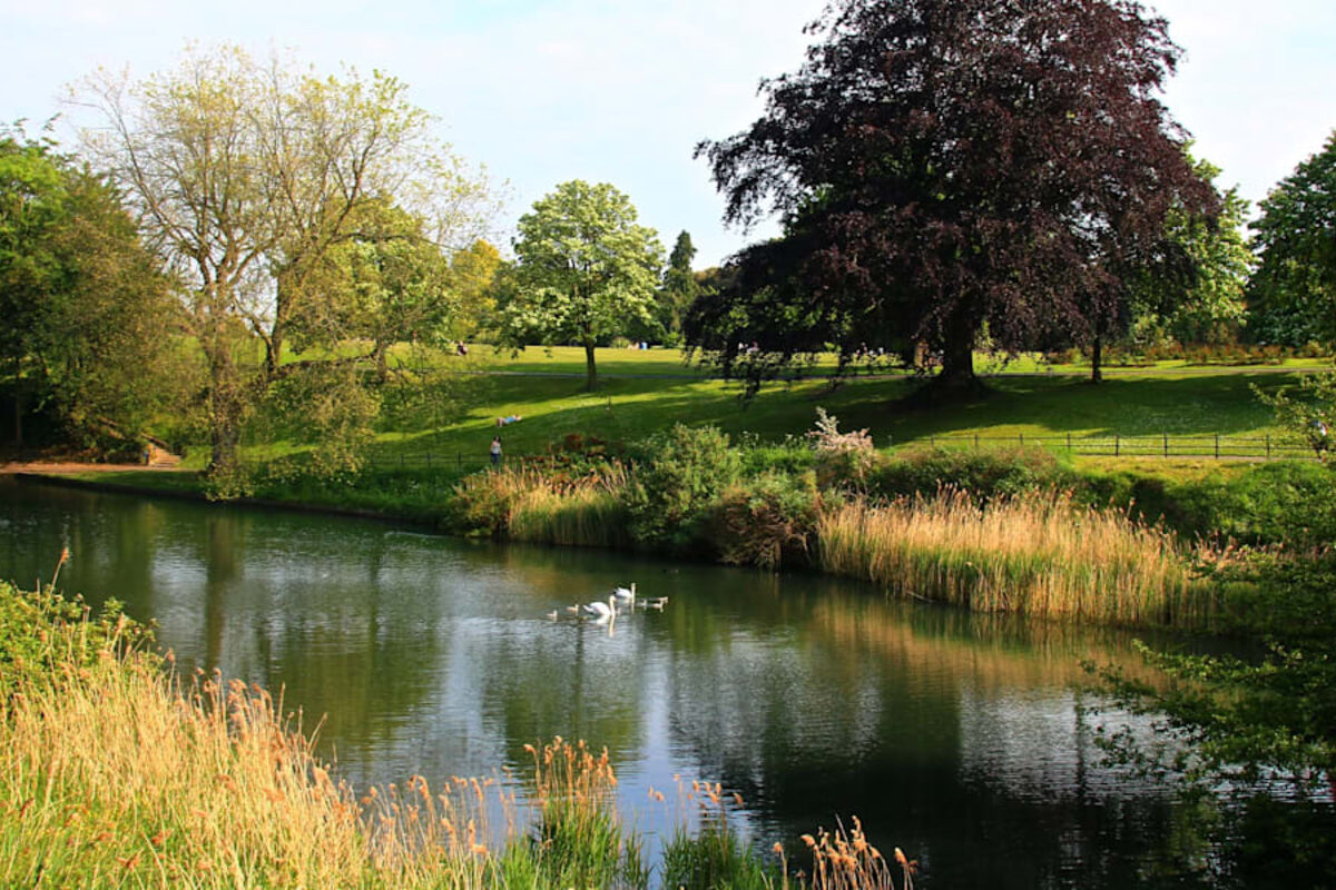 Phoenix Park lake with swans and mature trees, Dublin 8 — peaceful open parkland within walking distance of EirStay Kilmainham and Islandbridge serviced apartments