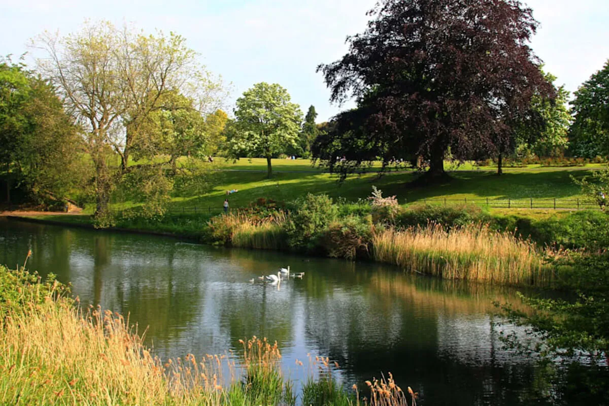 Phoenix Park lake with swans and mature trees, Dublin 8 — peaceful open parkland within walking distance of EirStay Kilmainham and Islandbridge serviced apartments