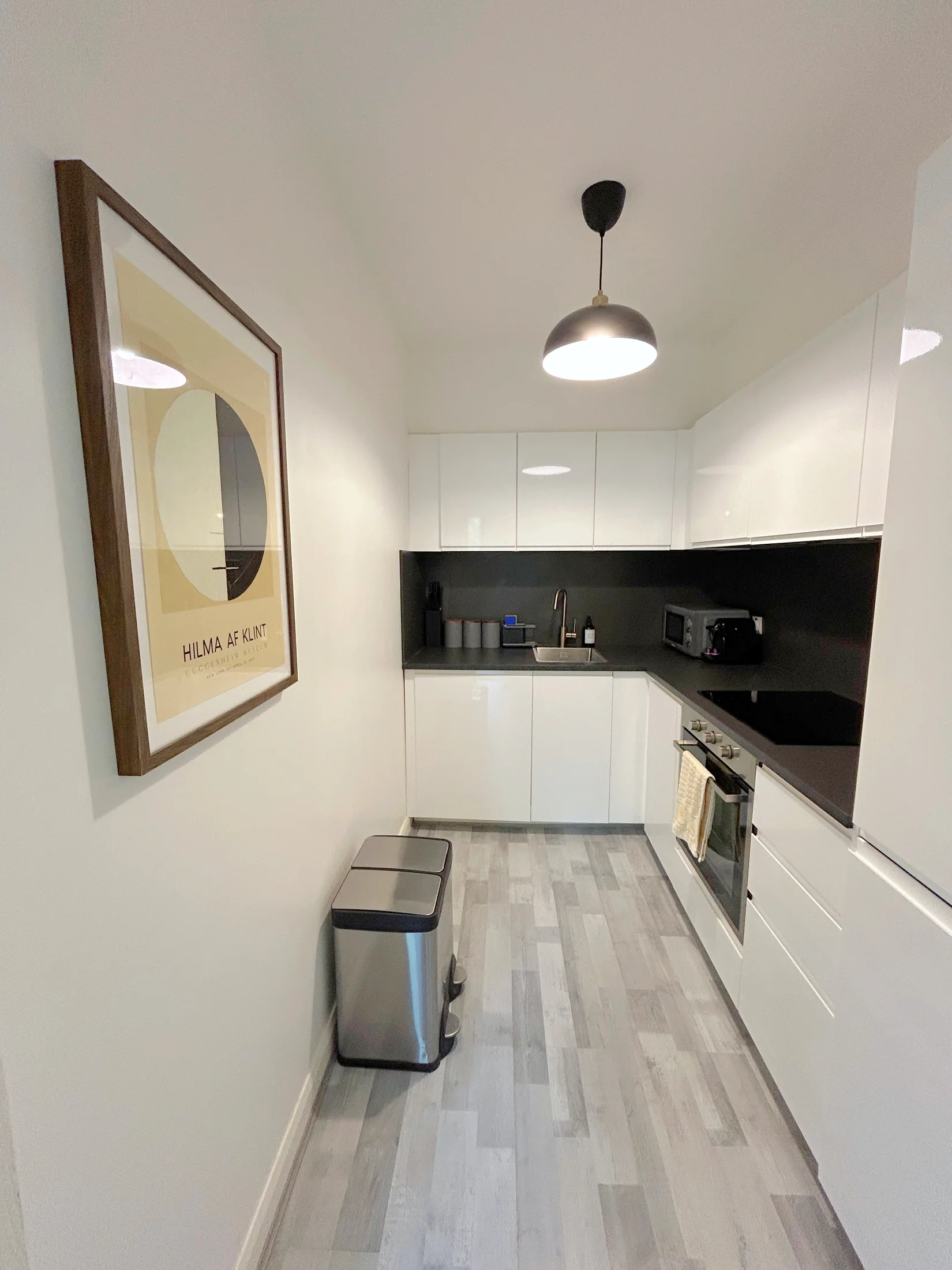 Rathgar apartment kitchen entrance